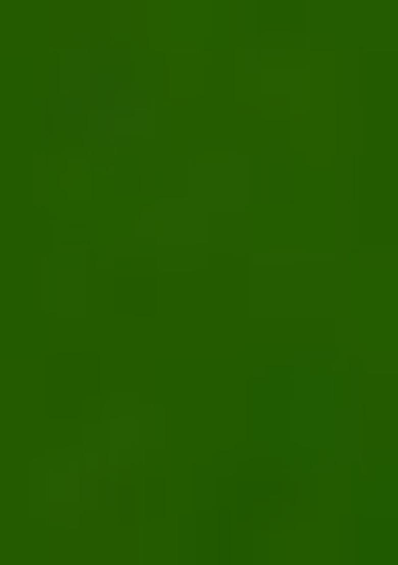 Mehendi Green Embroidered Silk Sherwani for Men